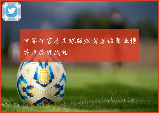 世界杯官方足球版权背后的商业博弈与品牌战略