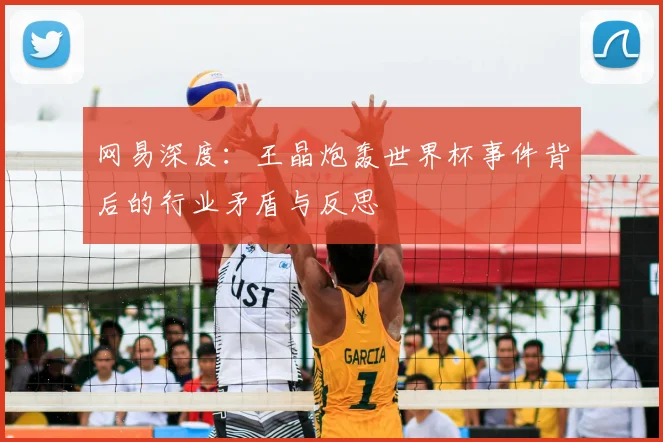 网易深度:王晶炮轰世界杯事件背后的行业矛盾与反思