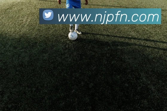 半岛官网在线登陆全站App